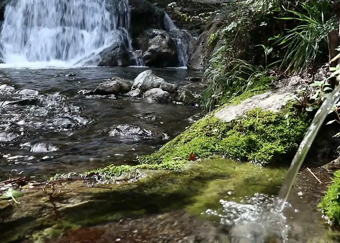 בית נופש Fior D'arancio