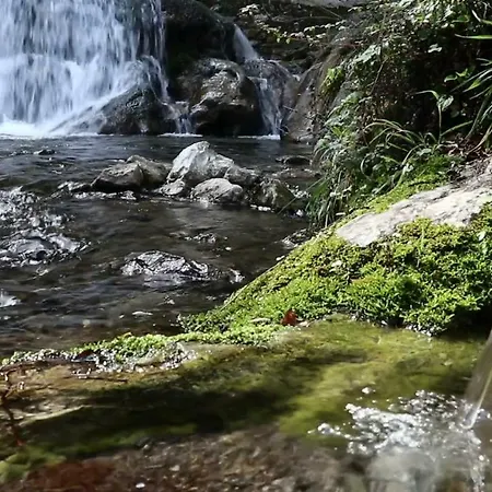 Holiday home Fior D'arancio